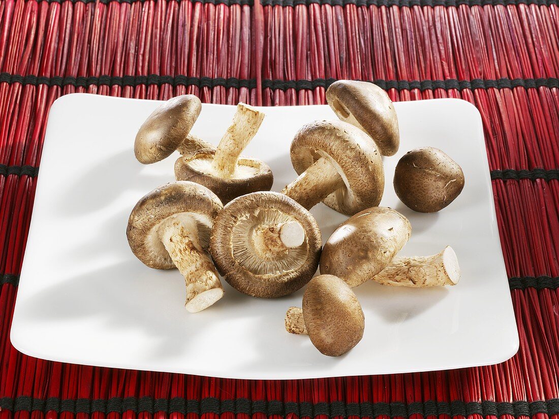 Fresh shiitake mushrooms in white dish