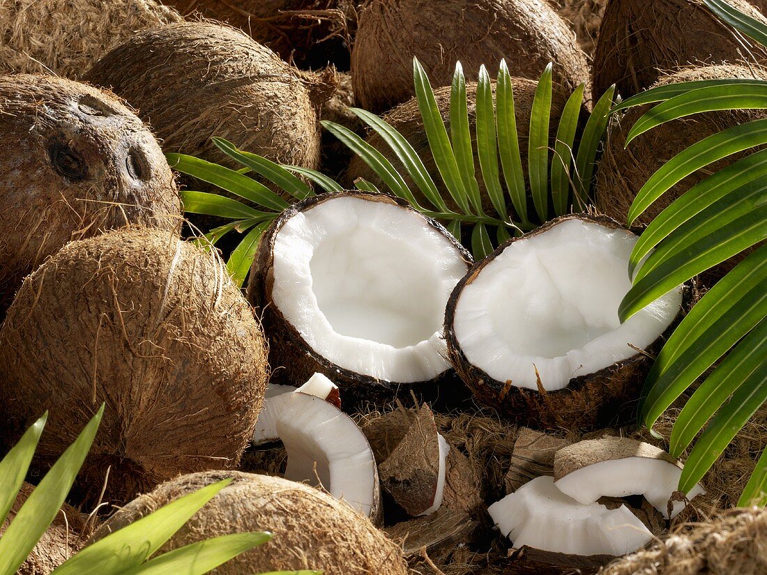 Still life with whole and opened coconuts