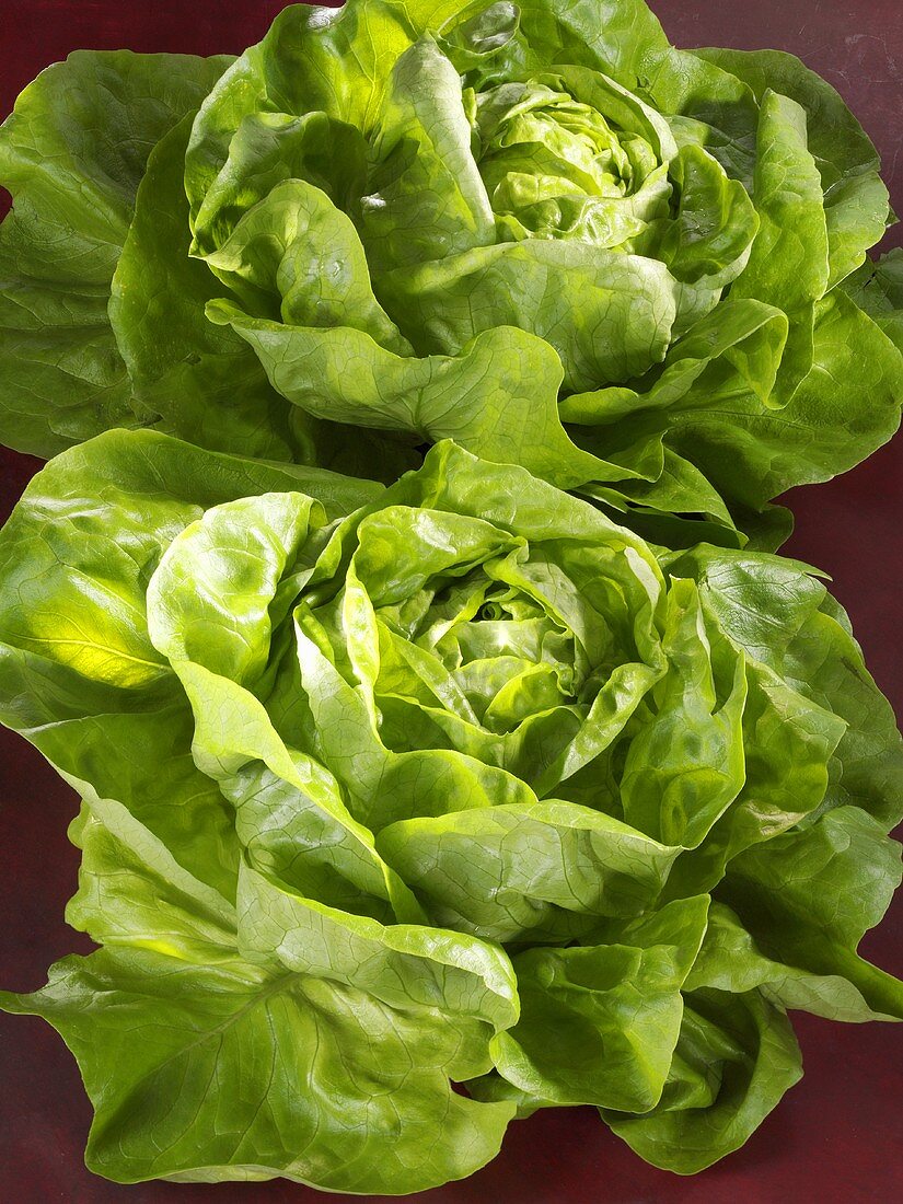 Two lettuces