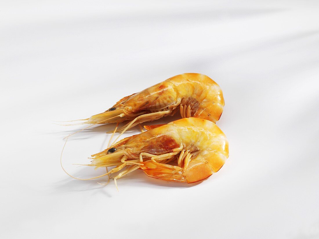 Two shrimps