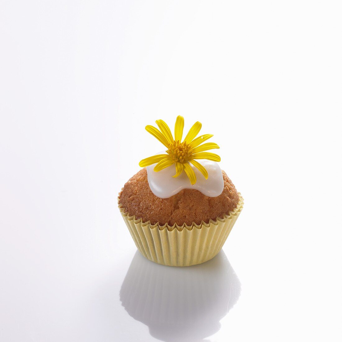 Minimuffin mit gelbem Gänseblümchen