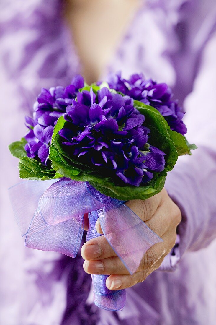Hand holding a posy of violets