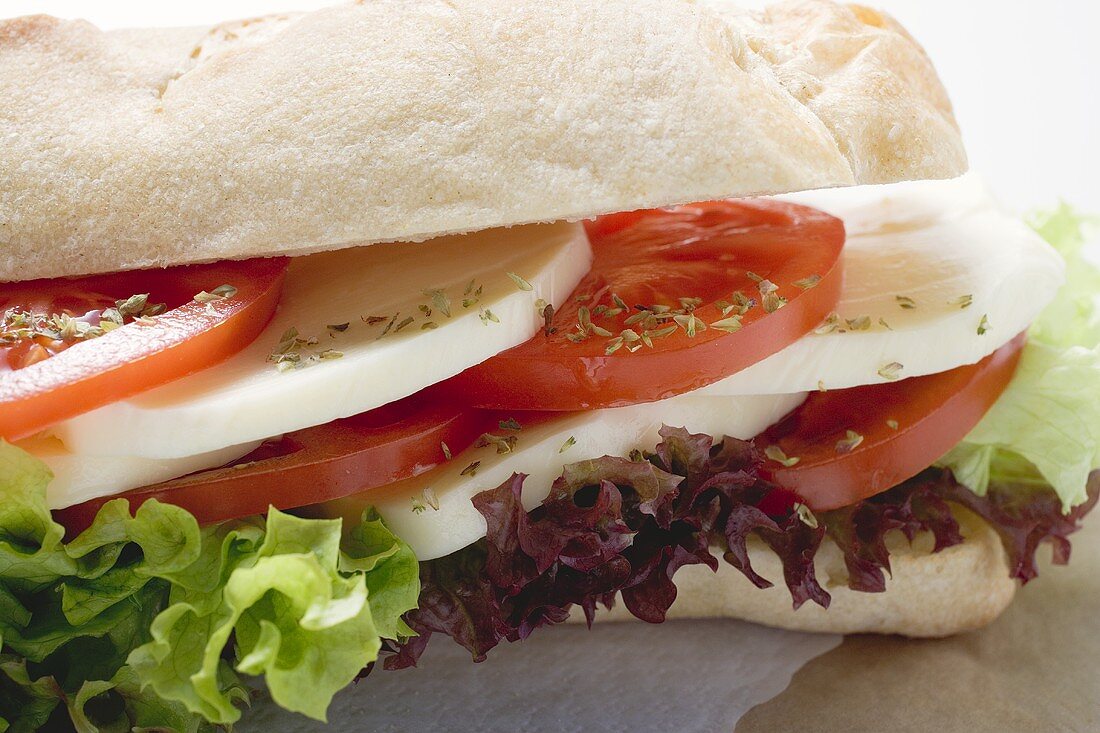 Tomato and mozzarella sandwich