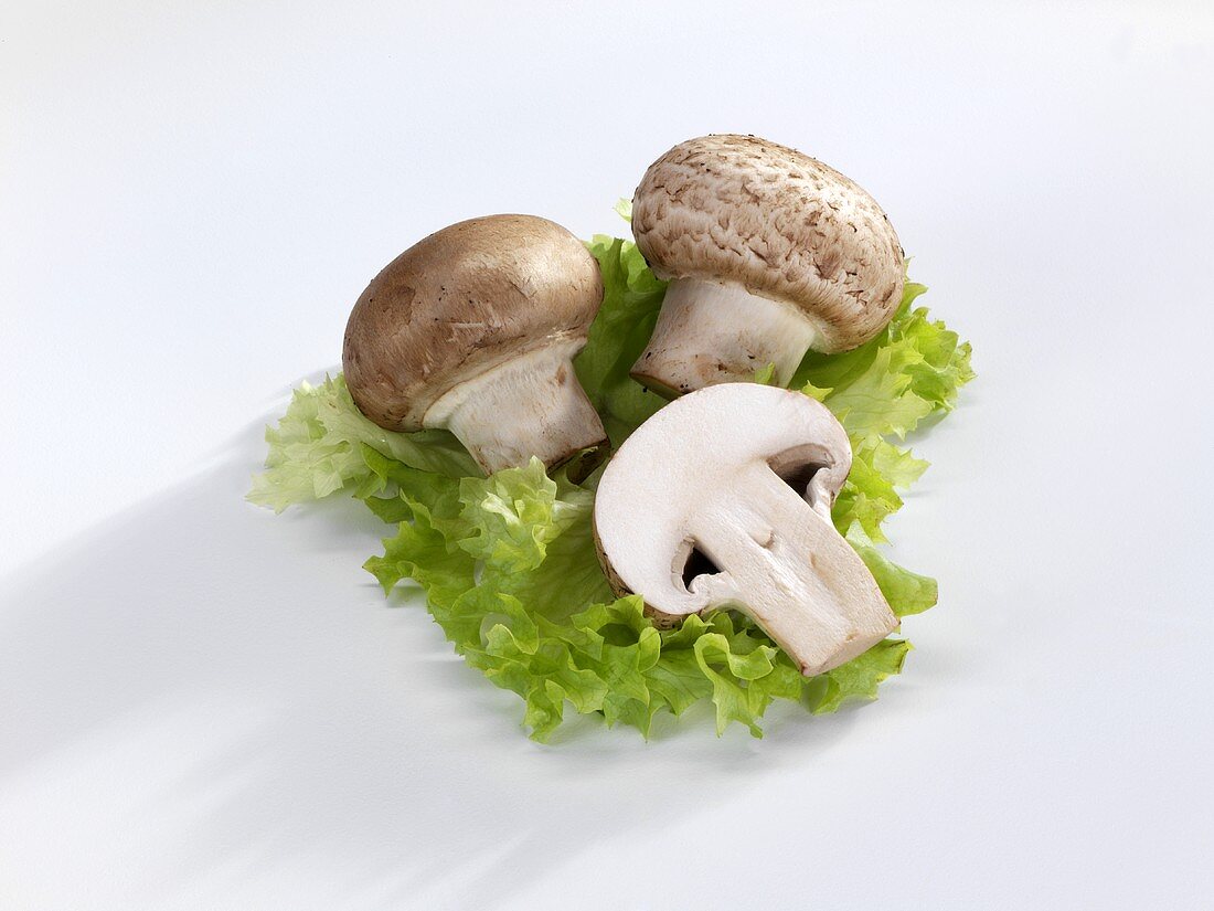Chestnut mushrooms on a lettuce leaf