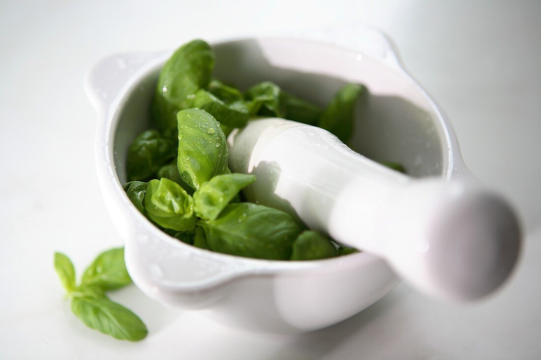 Fresh basil in mortar with pestle