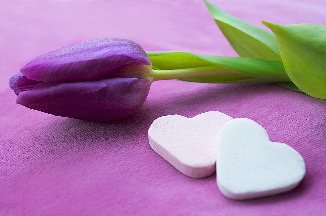 Glucose hearts with a tulip