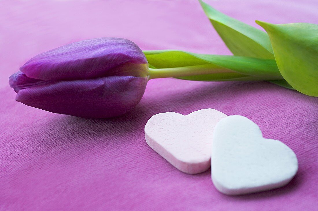Traubenzucker-Herzen mit einer Tulpe