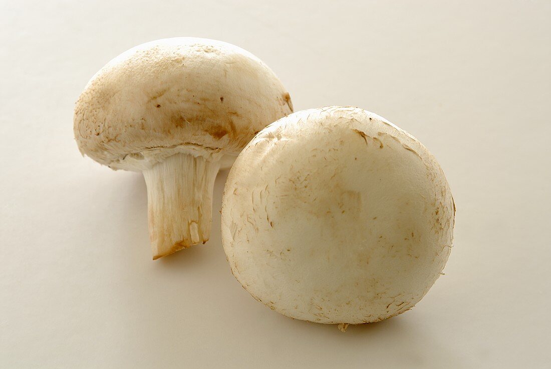 Two button mushrooms