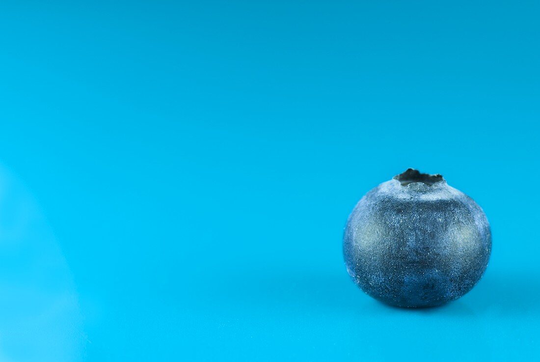 Eine Heidelbeere vor blauem Hintergrund