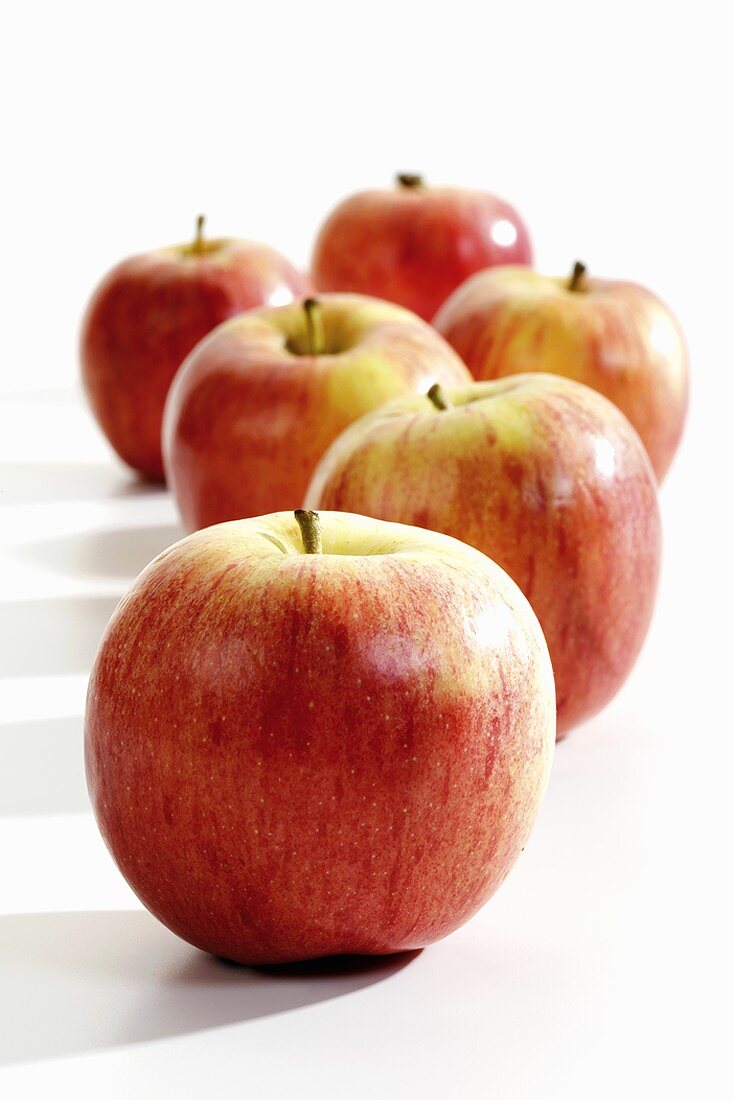 Six 'Gala' apples