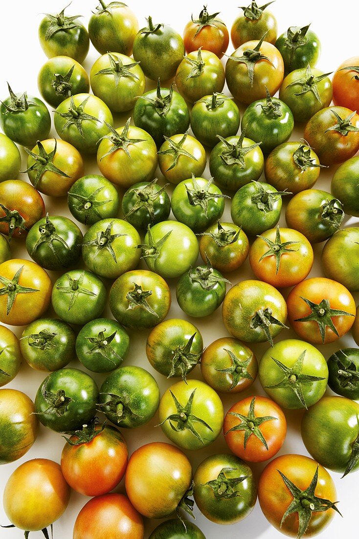 Unripe tomatoes