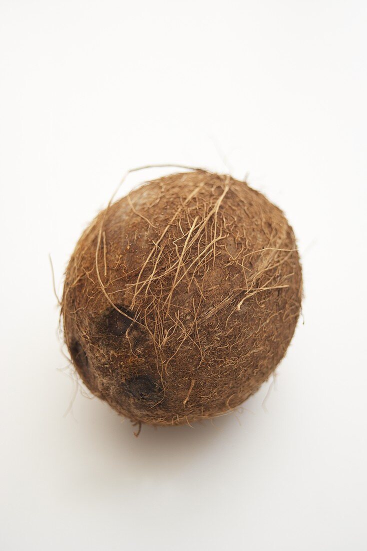 A coconut