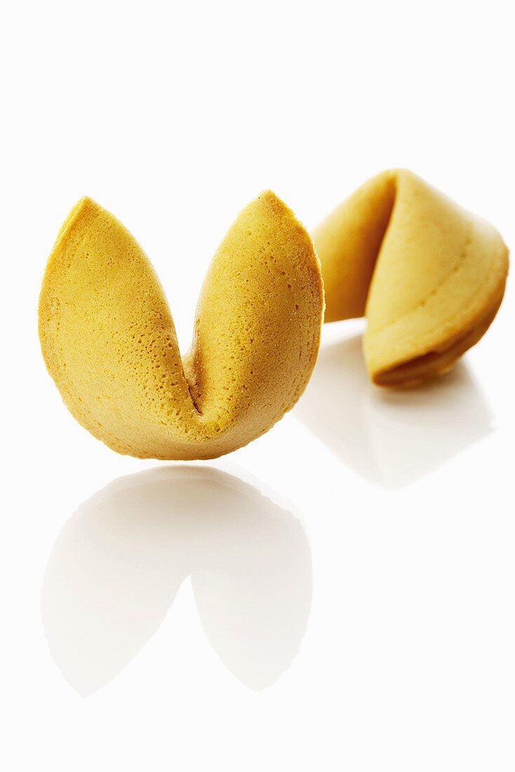 Two Chinese fortune cookies