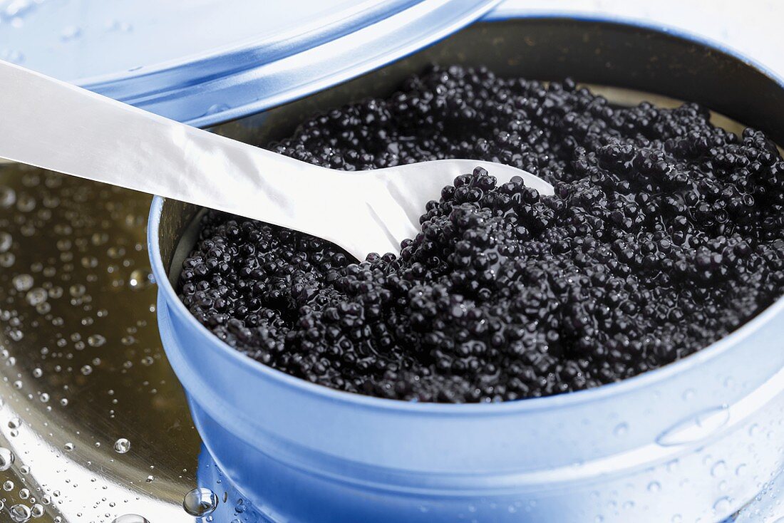 Schwarzer Kaviar in der Dose