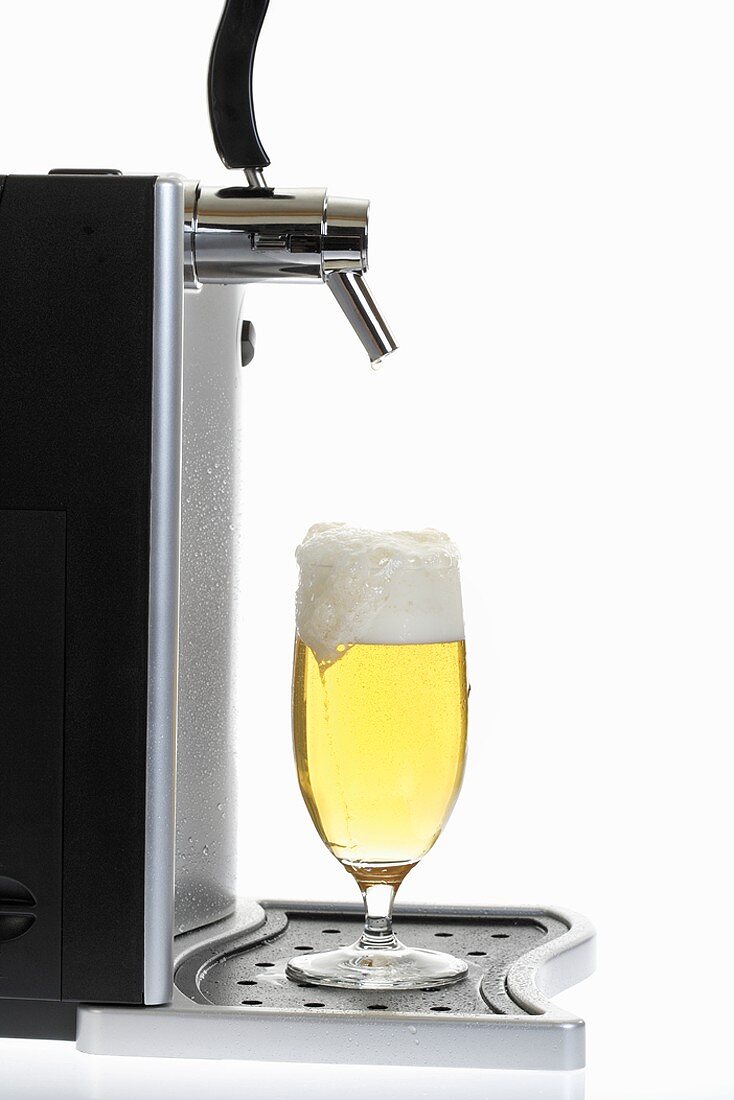 A freshly poured glass of draught beer
