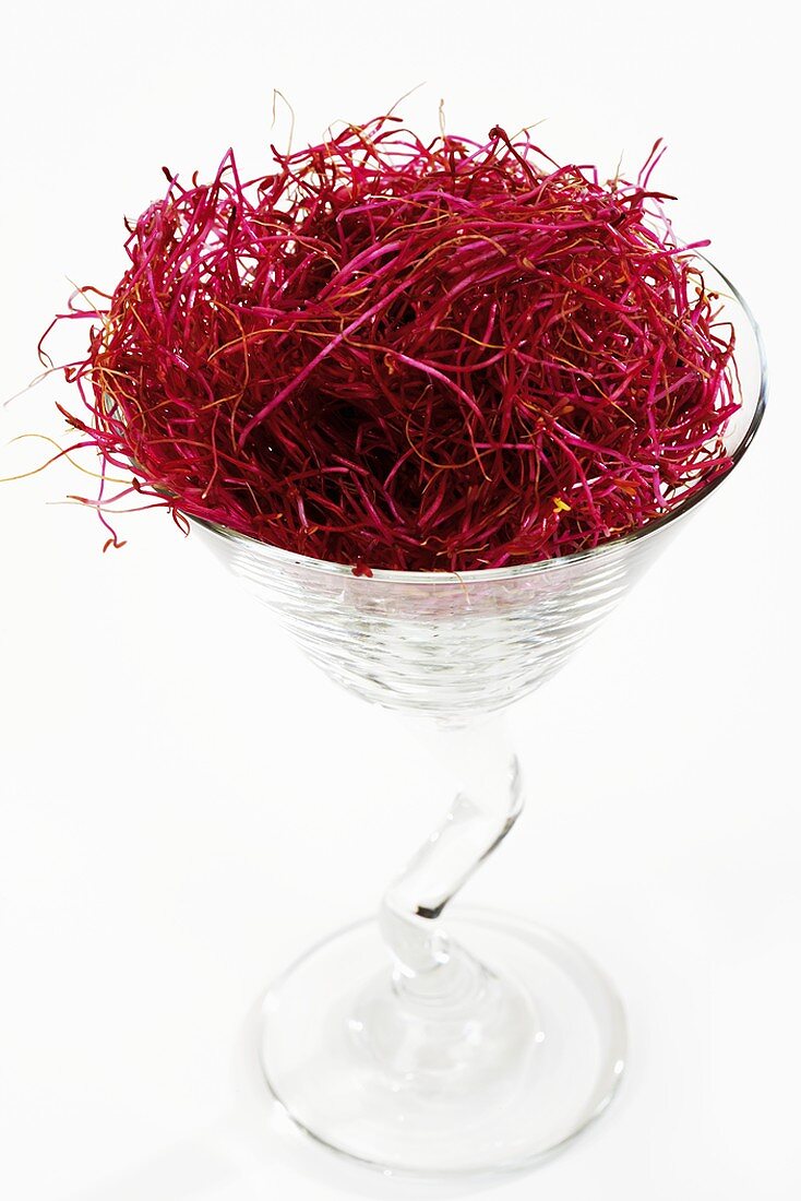 Beetroot sprouts in a glass