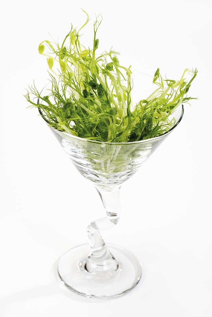 Pea shoots in a glass
