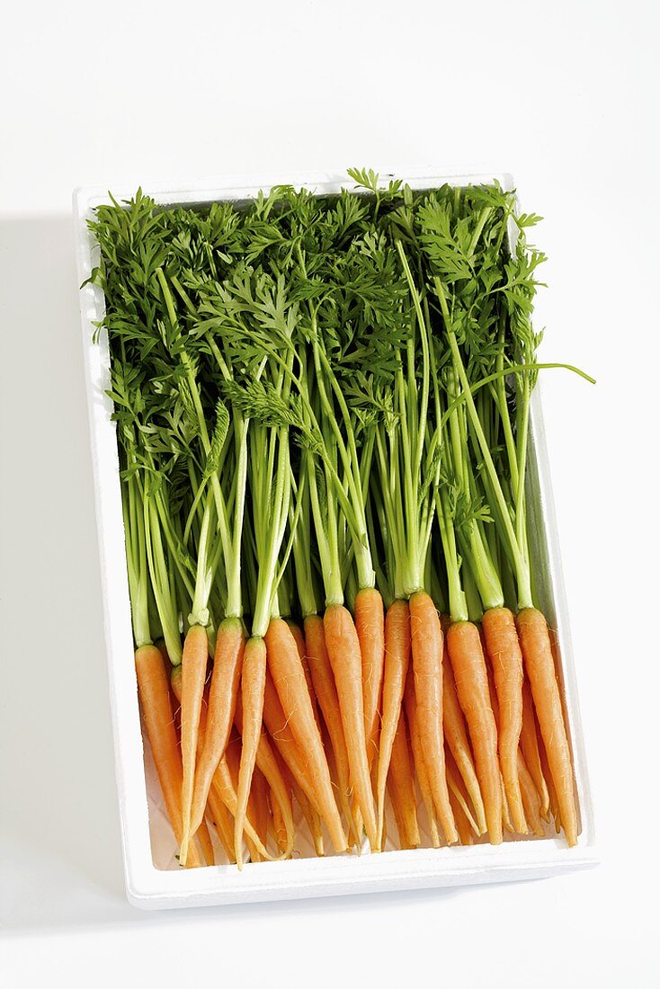 Young carrots with tops in a box