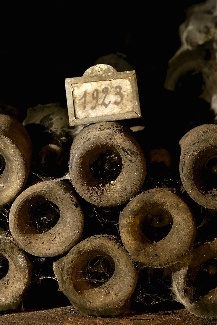 Old wine bottles in Jean-Louis Trapet's wine cellar, Burgundy