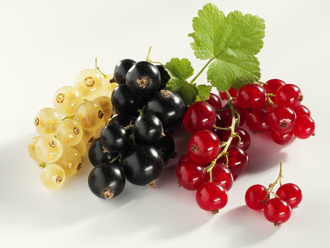 White, black and redcurrants