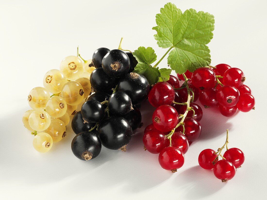 weiße, schwarze und rote Johannisbeeren