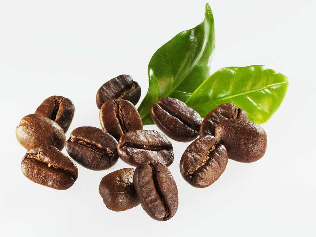 Roasted coffee beans with leaves