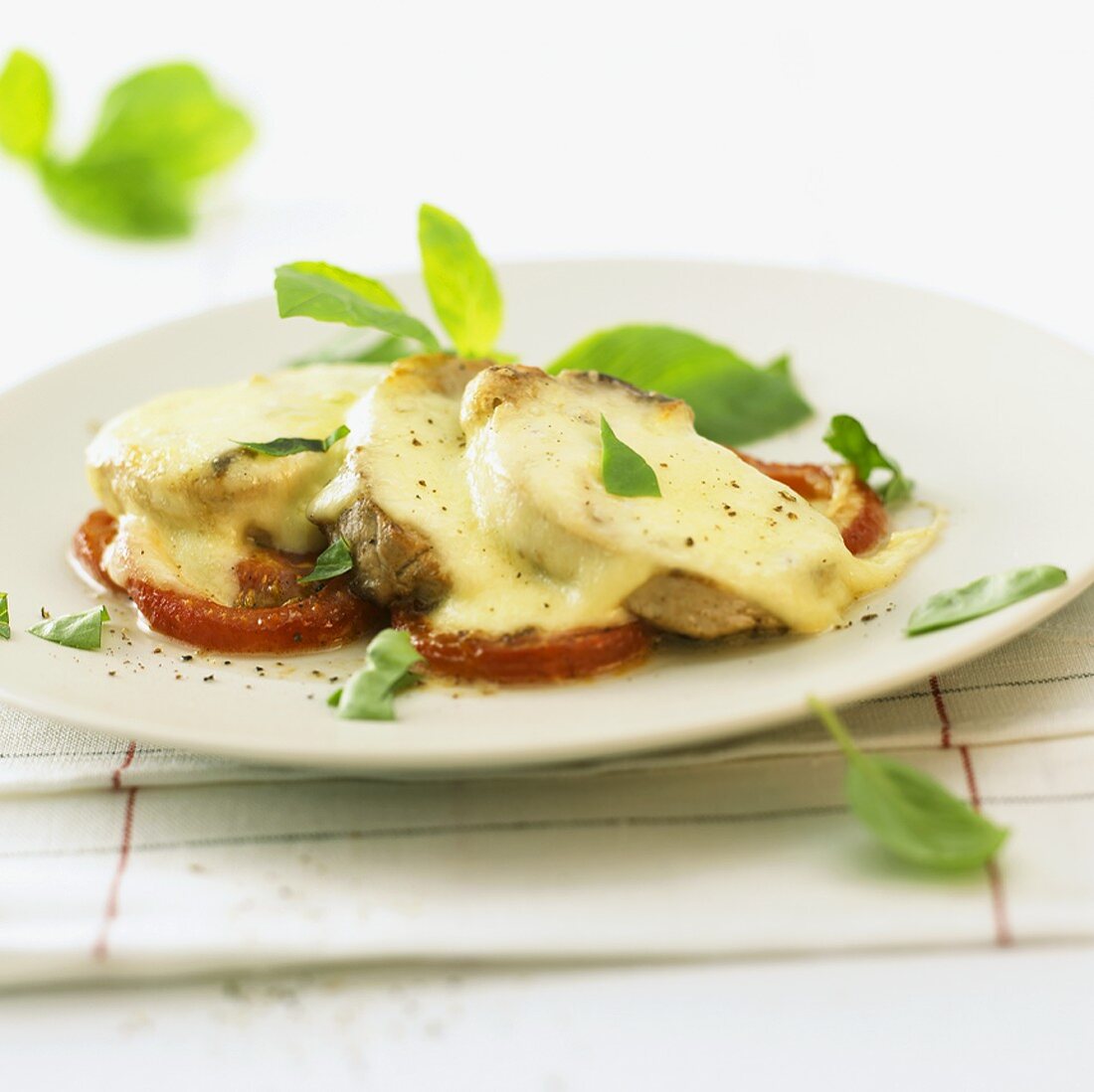 Pork fillet with cheese topping on tomatoes