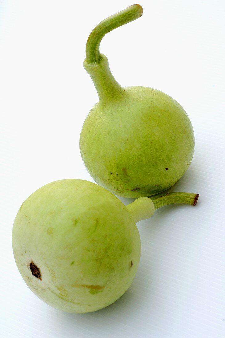 Nam Tao (Bottle gourd)