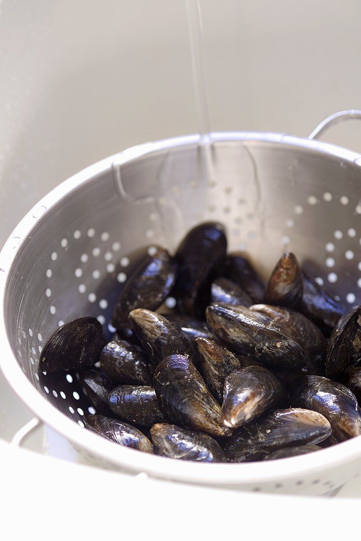 Mussels in a colander being washed with water