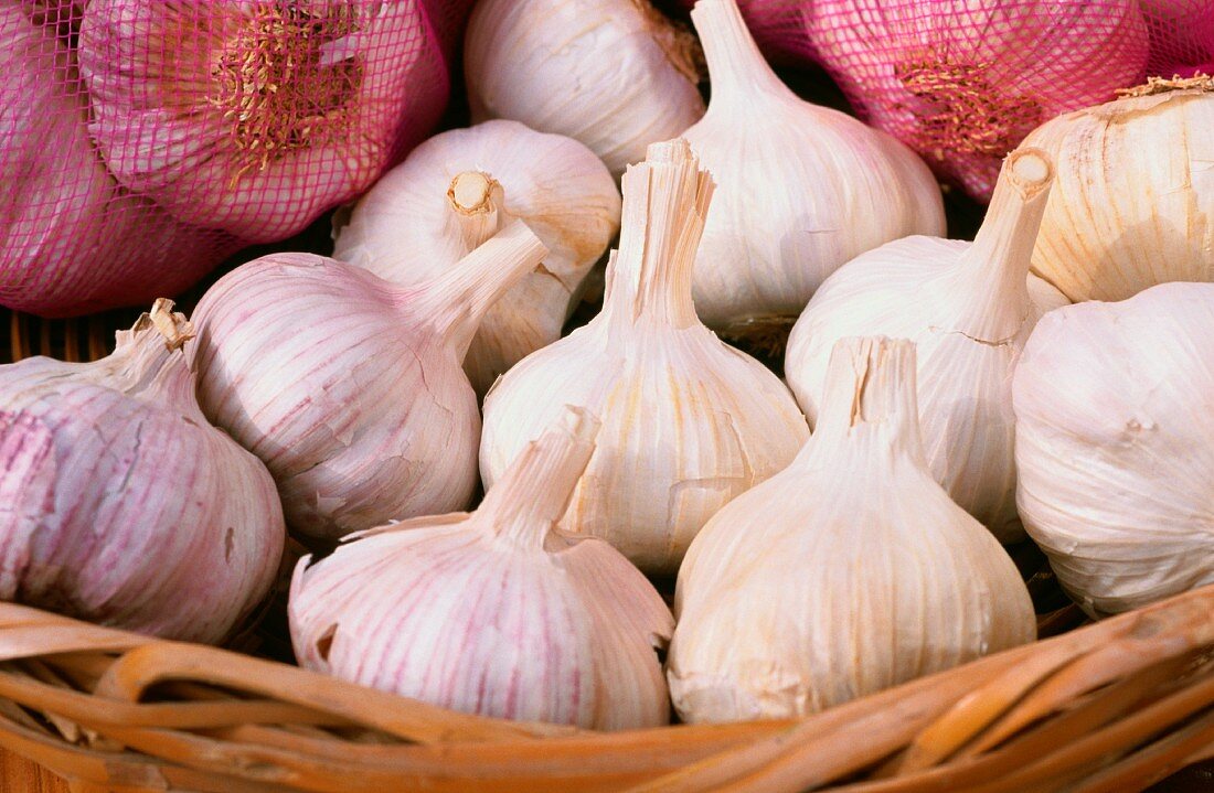 Garlic, lots of bulbs of garlic