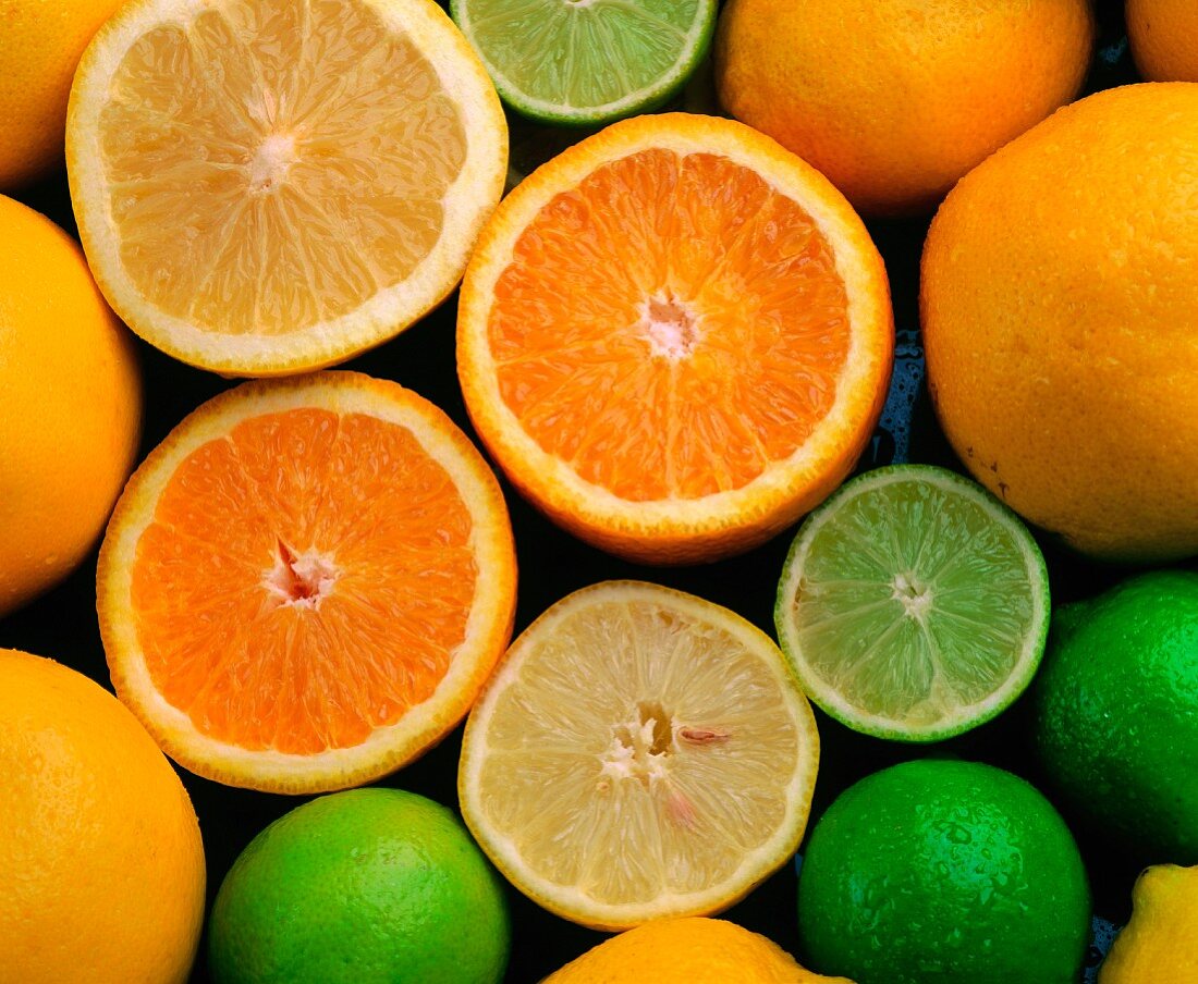 Zitrusfrüchte: Zitrone, Limette und Orange (bildfüllend)