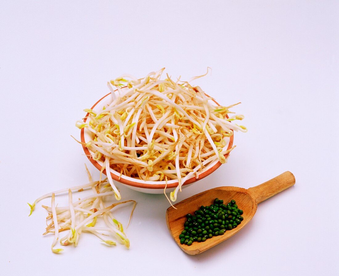 Mung beansprouts and mung beans