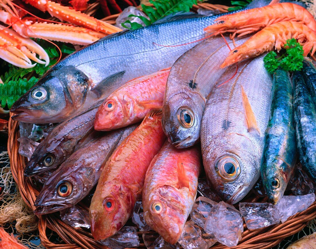 Verschiedene frische Fische in einem Korb am Markt