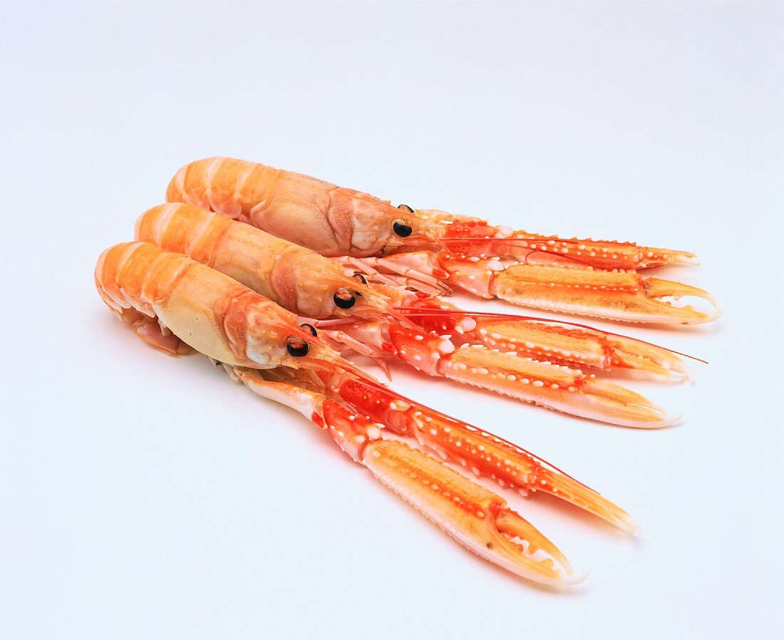 Three crayfish