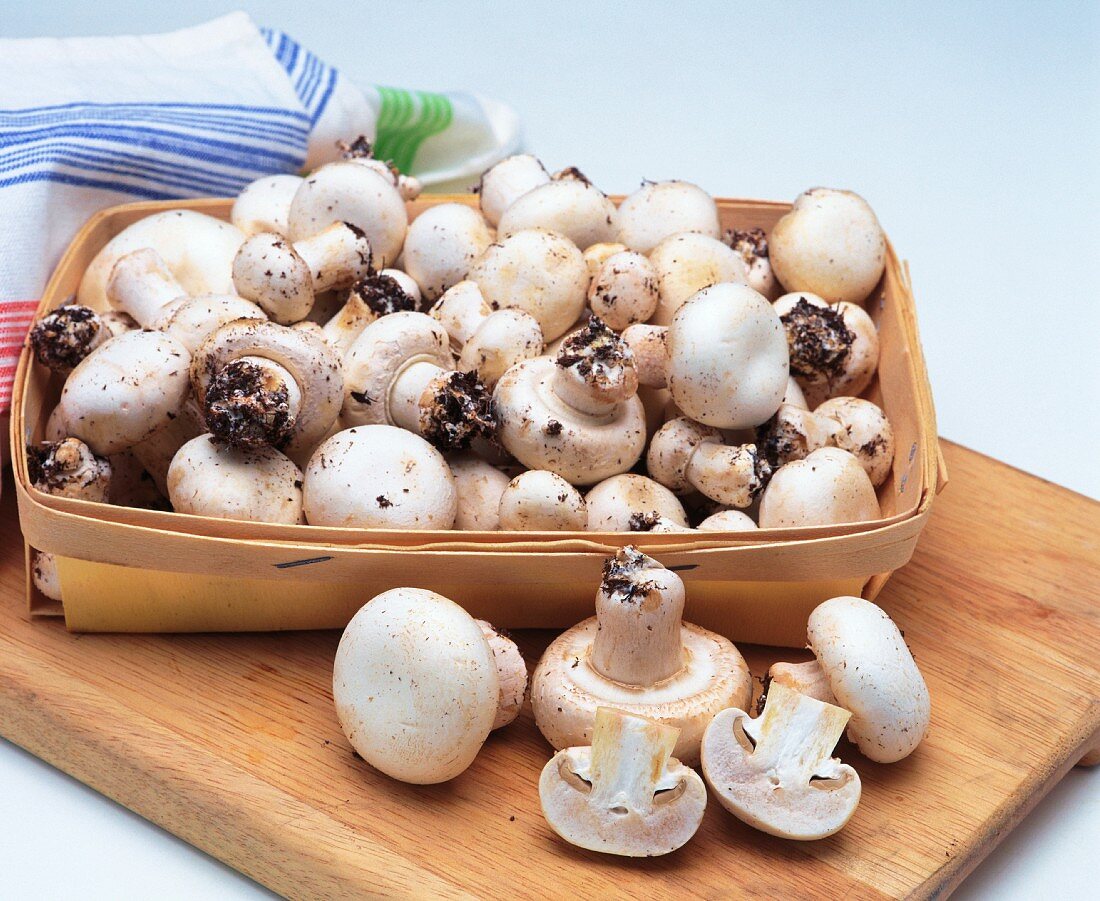 Lots of mushrooms in a basket