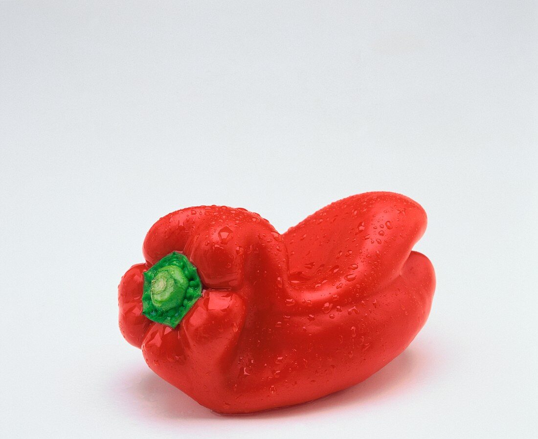 Ein roter Paprika