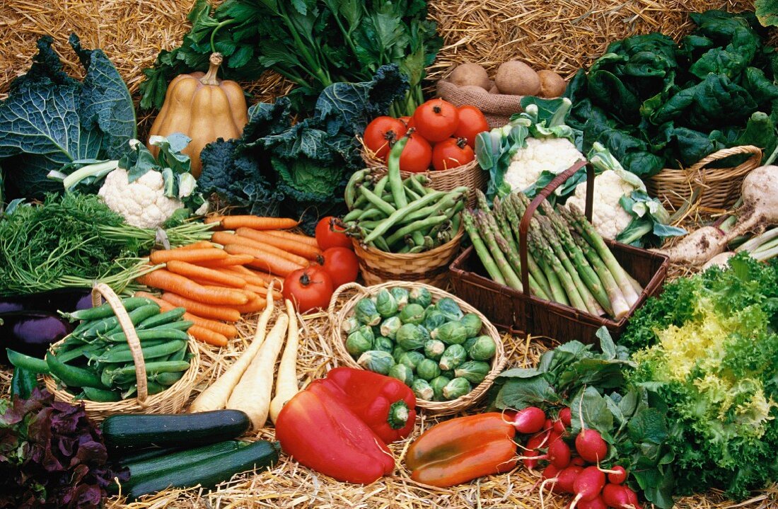 Assorted types of vegetable for the Harvest Festival