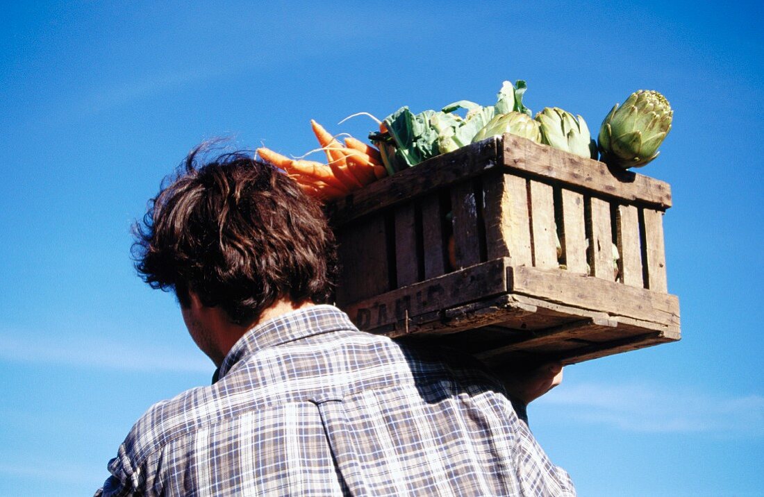 A farmer carrying a crate of vegetables