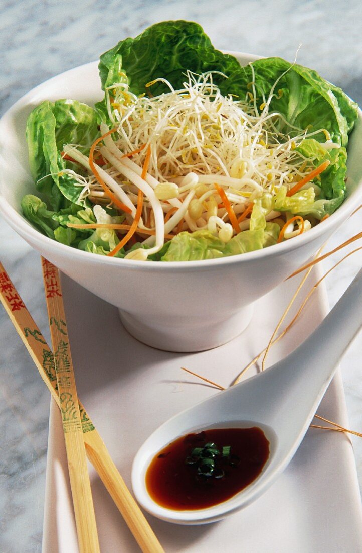 An Asian salad with edible shoots