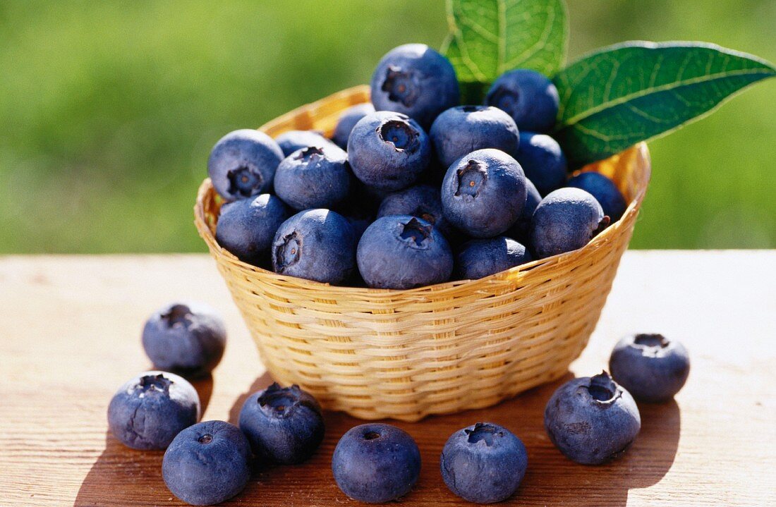 Lots of blueberries in a basket