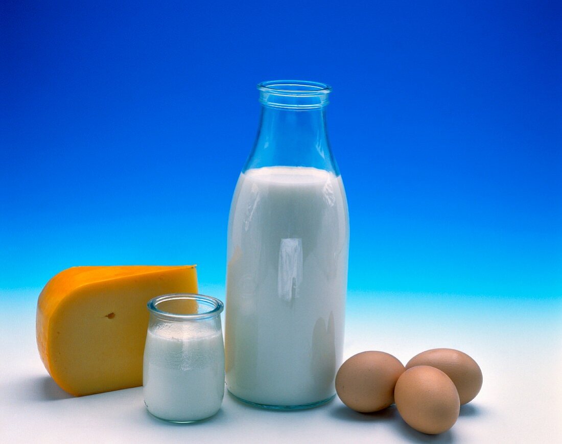 Stillleben mit eiweißreichen Lebensmitteln (Milch, Eier, Käse)