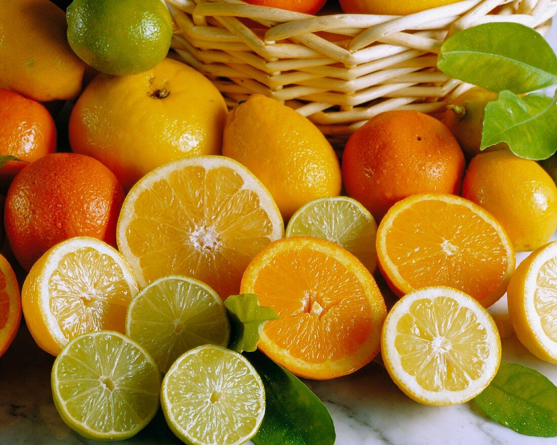 An arrangement of grapefruits, oranges, lemons and limes