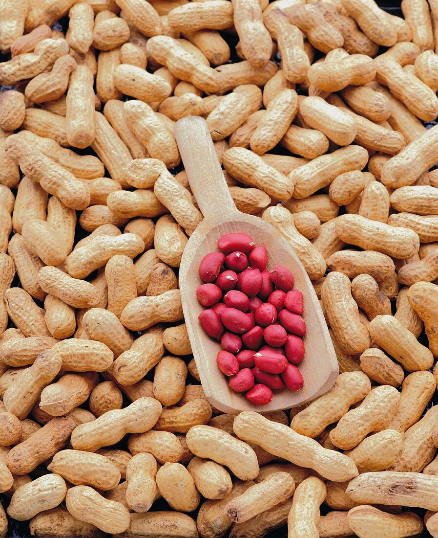 Erdnüsse (bildfüllend)