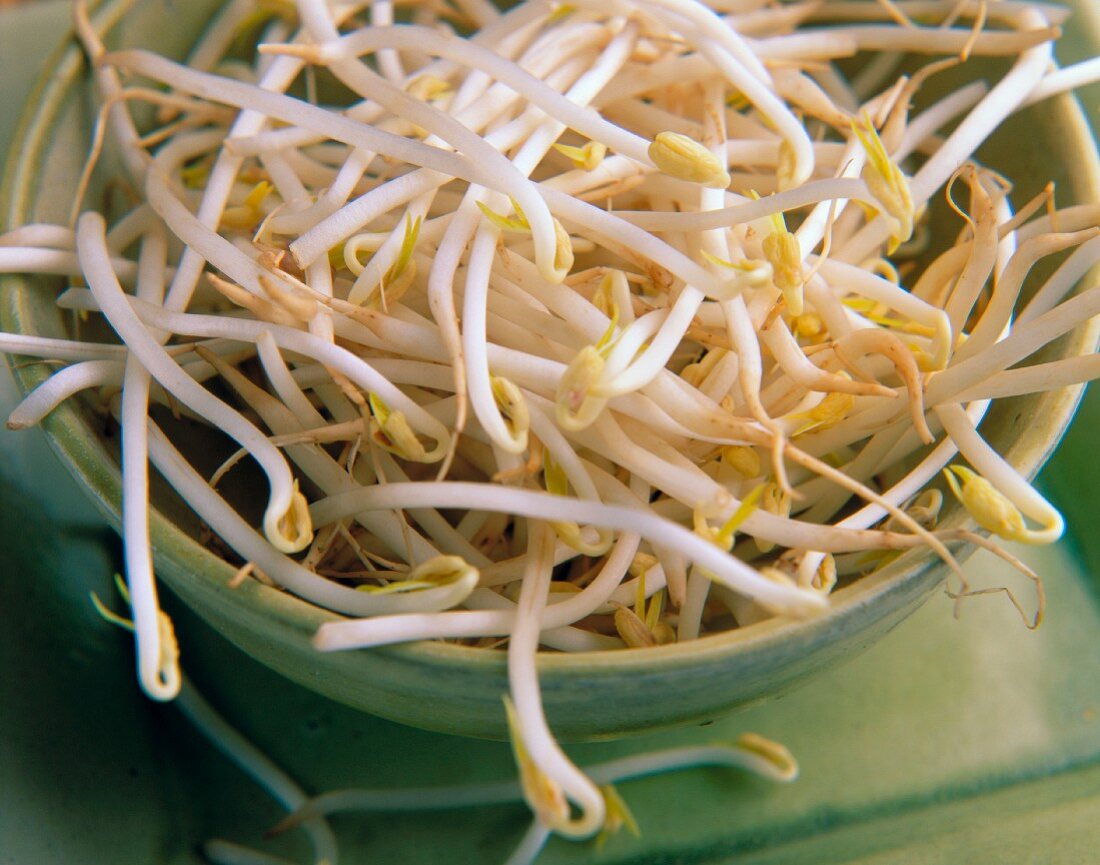 A bowl of fresh bean sprouts