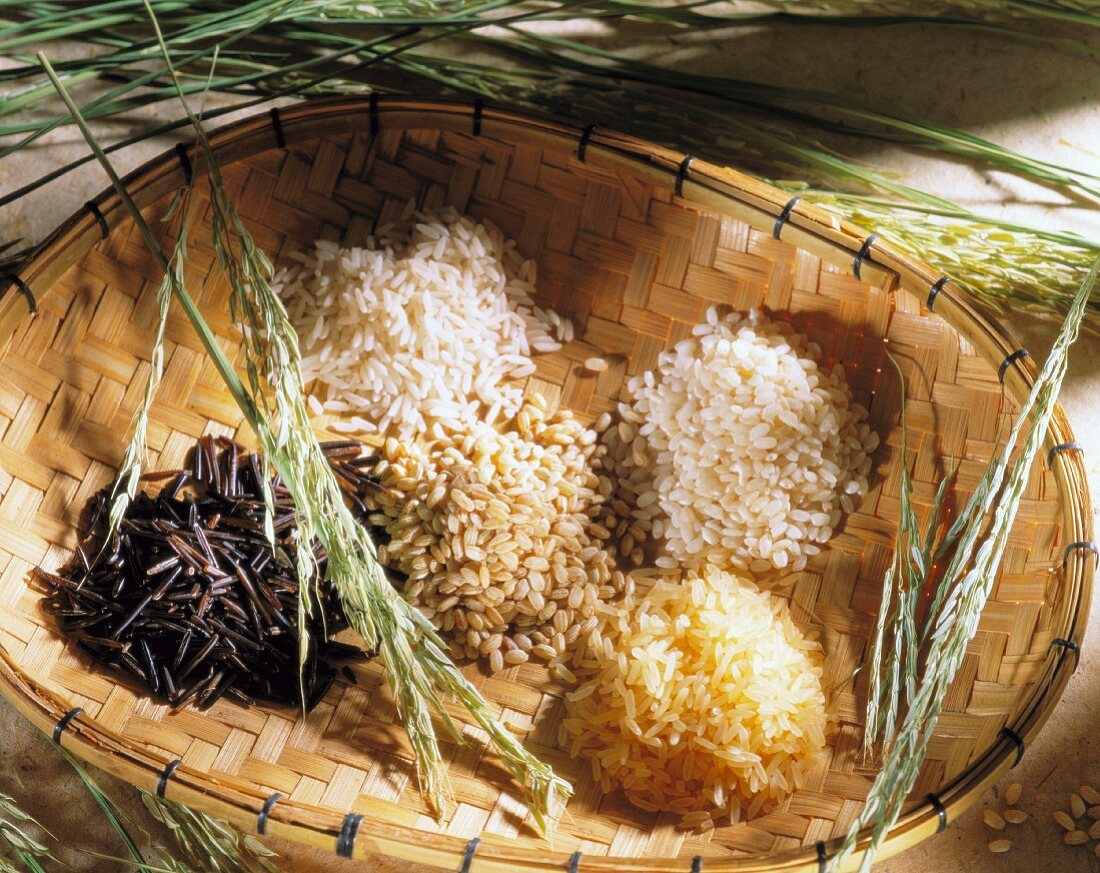 Various types of rice