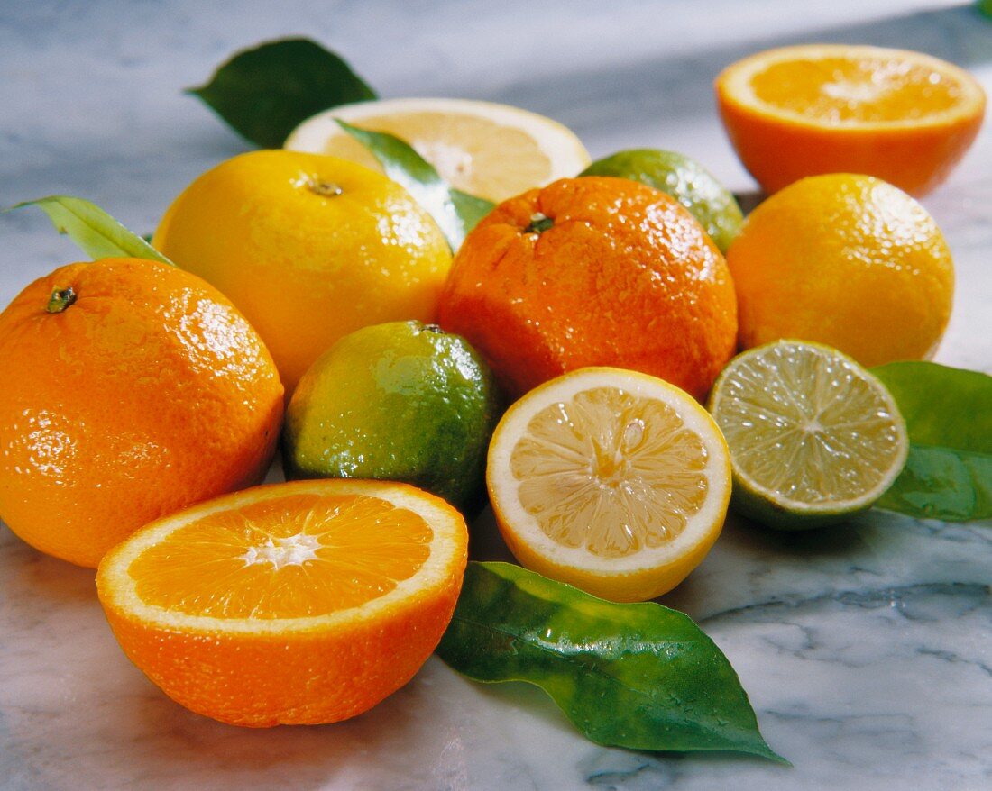 Limetten, Orangen, Mandarinen und Grapefruits
