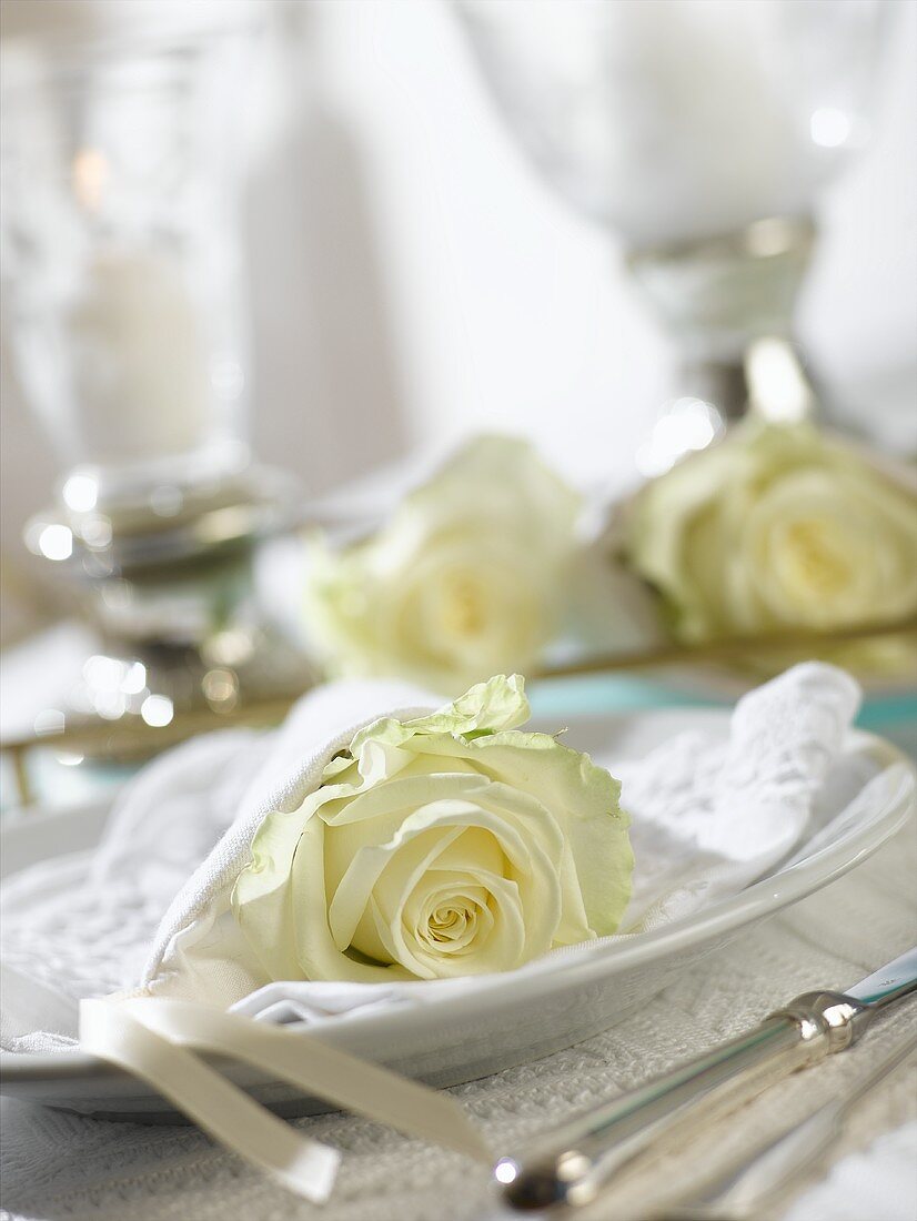 Place-setting with white rose