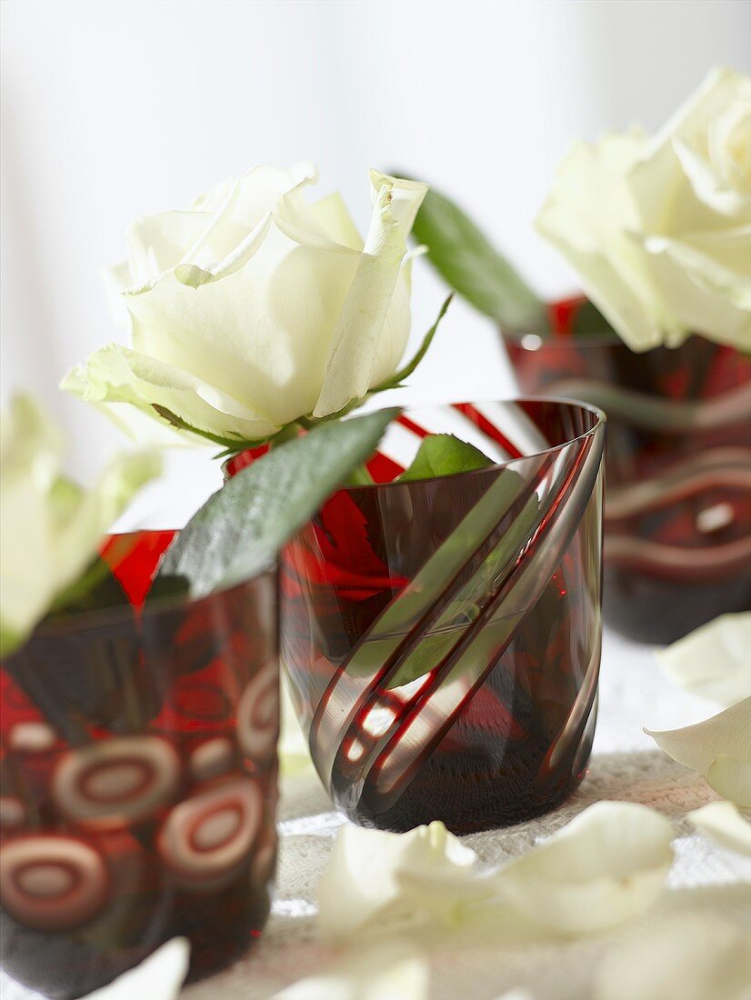 White roses in red glasses