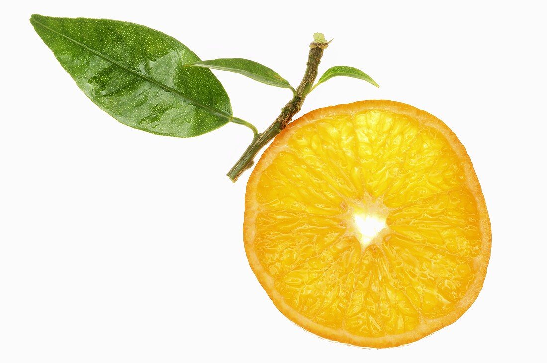Slice of orange with leaf
