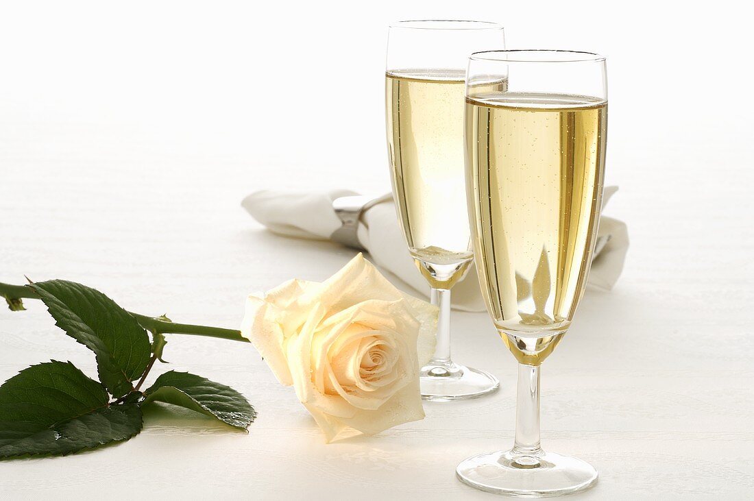 Two glasses of sparkling wine, rose and fabric napkin